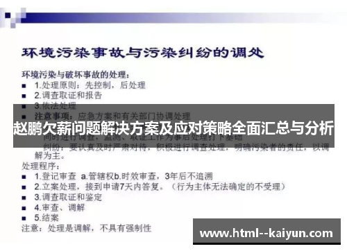 赵鹏欠薪问题解决方案及应对策略全面汇总与分析 赵鹏欠薪问题解决方案及应对策略全面汇总与分析