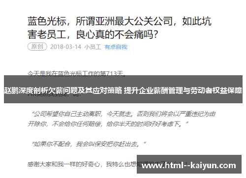 赵鹏深度剖析欠薪问题及其应对策略 提升企业薪酬管理与劳动者权益保障